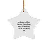 Funny Landscape Architect Star Ornament, Gifts for Men, Women, Friends, Family, from Coworkers, Coworkers Unique Christmas Unique Gifts, Inspirational Home Decor - Image 1